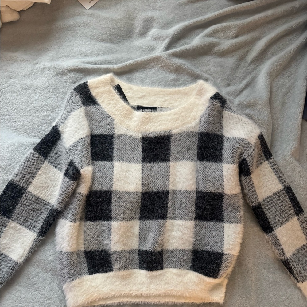 Express Plaid Sweater